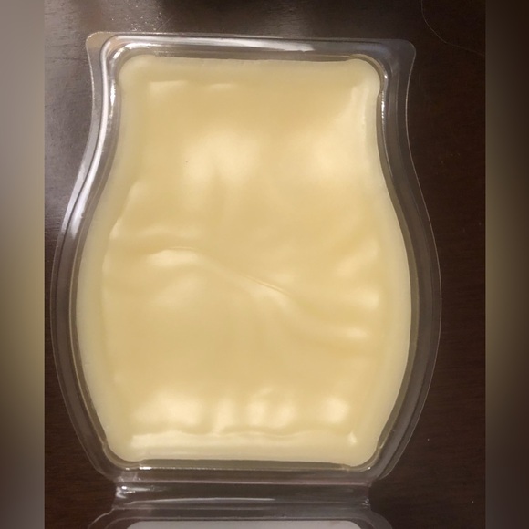 2 Scentsy Bars - 1 Salted Caramel Cupcake and 1 Sweet Cucumber Scentsy Bar - Picture 4 of 4